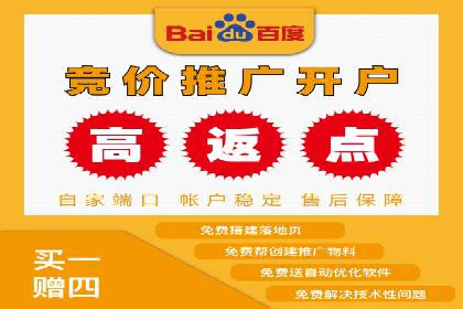 SEM托管代运营案例：优化广告投放策略